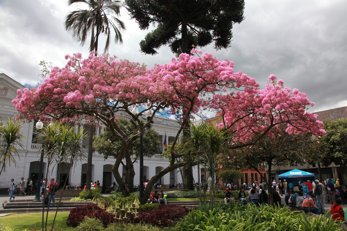 Plaza de la Inpendencia